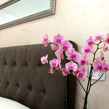 Il Lilium Bed & Breakfast *
