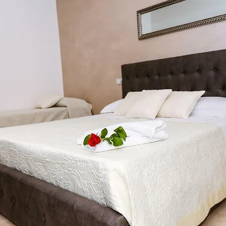 Il Lilium 4*
