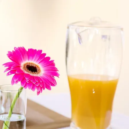 Il Lilium 4*